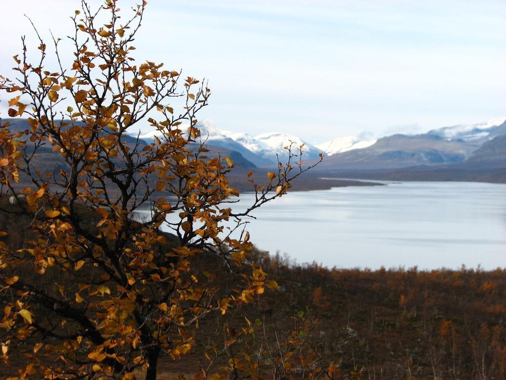 Vila Galdotieva-Seo Leppäjärvi Exteriér fotografie