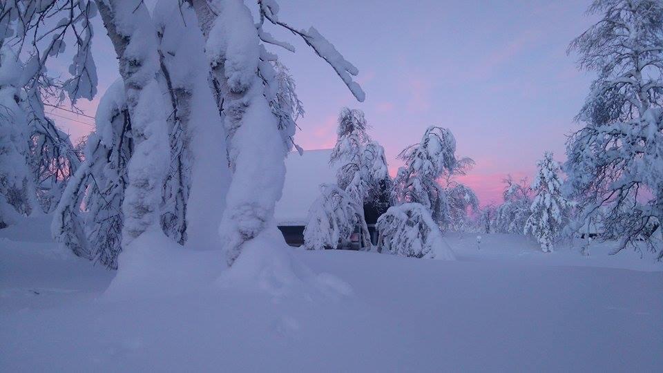 Vila Galdotieva-Seo Leppäjärvi Exteriér fotografie