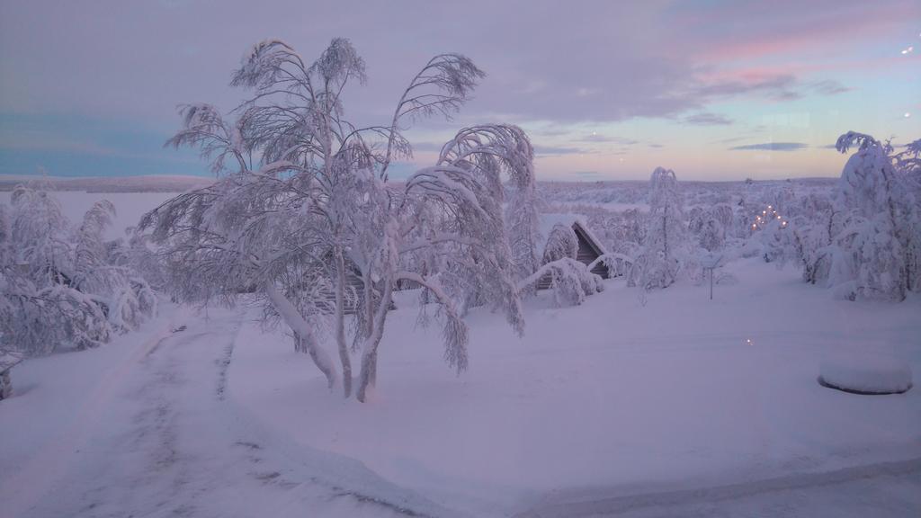 Vila Galdotieva-Seo Leppäjärvi Exteriér fotografie